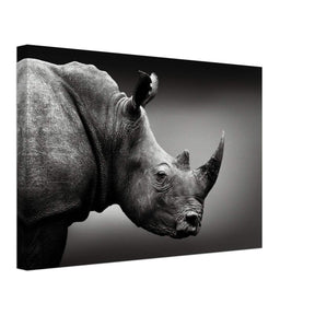Animal Kingdom Wall art print collection | rhino - Canvas - 30x45 cm / 12x18″ - 