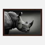 Animal Kingdom Wall art print collection | rhino - Framed Canvas - 50x75 cm / 20x30″ - Dark wood frame