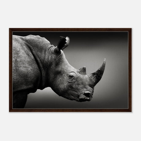 Animal Kingdom Wall art print collection | rhino - Framed Canvas - 60x90 cm / 24x36″ - Dark wood frame