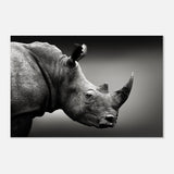 Animal Kingdom Wall art print collection | rhino - Aluminum Print - 60x90 cm / 24x36″ - 