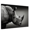 Animal Kingdom Wall art print collection | rhino - Canvas - 60x90 cm / 24x36″ - 