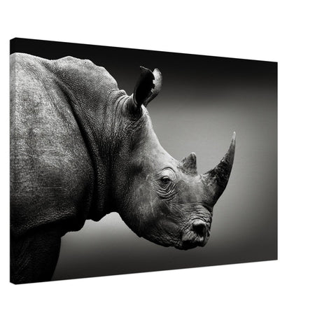 Animal Kingdom Wall art print collection | rhino - Canvas - 60x90 cm / 24x36″ - 