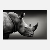 Animal Kingdom Wall art print collection | rhino - Aluminum Print - 50x75 cm / 20x30″ - 