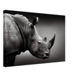 Animal Kingdom Wall art print collection | rhino - Canvas - 40x60 cm / 16x24″ - 