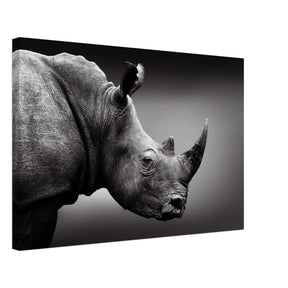 Animal Kingdom Wall art print collection | rhino - Canvas - 40x60 cm / 16x24″ - 