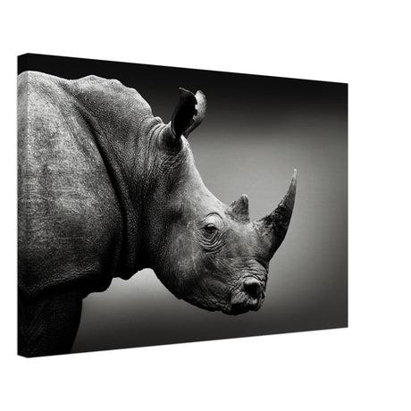 Animal Kingdom Wall art print collection | rhino - Canvas - 40x60 cm / 16x24″ - 