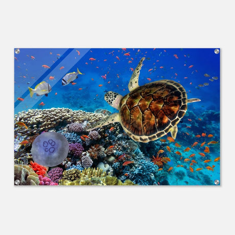 Animal Kingdom Wall art print collection | Sea turtle - Acrylic Print - 60x90 cm / 24x36″ - 