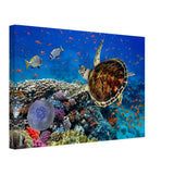 Animal Kingdom Wall art print collection | Sea turtle - Canvas - 30x45 cm / 12x18″ - 