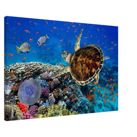 Animal Kingdom Wall art print collection | Sea turtle - Canvas - 60x90 cm / 24x36″ - 