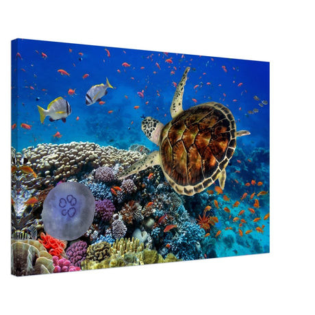 Animal Kingdom Wall art print collection | Sea turtle - Canvas - 50x75 cm / 20x30″ - 