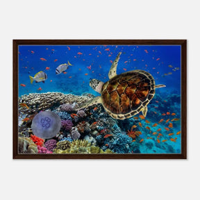 Animal Kingdom Wall art print collection | Sea turtle - Framed Canvas - 50x75 cm / 20x30″ - Dark wood frame