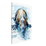 Aqua Explorer | Platypus | Modern watercolor - inspired animal art - 50x75 cm / 20x30″ - Canvas - 