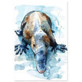 Aqua Explorer | Platypus | Modern watercolor - inspired animal art - 30x45 cm / 12x18″ - Aluminum Print - 