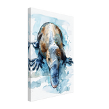 Aqua Explorer | Platypus | Modern watercolor - inspired animal art - 30x45 cm / 12x18″ - Canvas - 