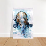 Aqua Explorer | Platypus | Modern watercolor - inspired animal art - 50x75 cm / 20x30″ - Brushed Aluminum Print - 