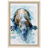 Aqua Explorer | Platypus | Modern watercolor - inspired animal art - 30x45 cm / 12x18″ - Framed Canvas - Wood frame