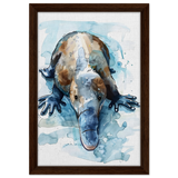 Aqua Explorer | Platypus | Modern watercolor - inspired animal art - 30x45 cm / 12x18″ - Framed Canvas - Dark wood frame