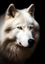 "Arctic Soul" – Choose Your White Wolf Portrait: Shadow, Sovereign, or Whisper - 30x45 cm / 12x18″ - Design 1 - Acrylic Print