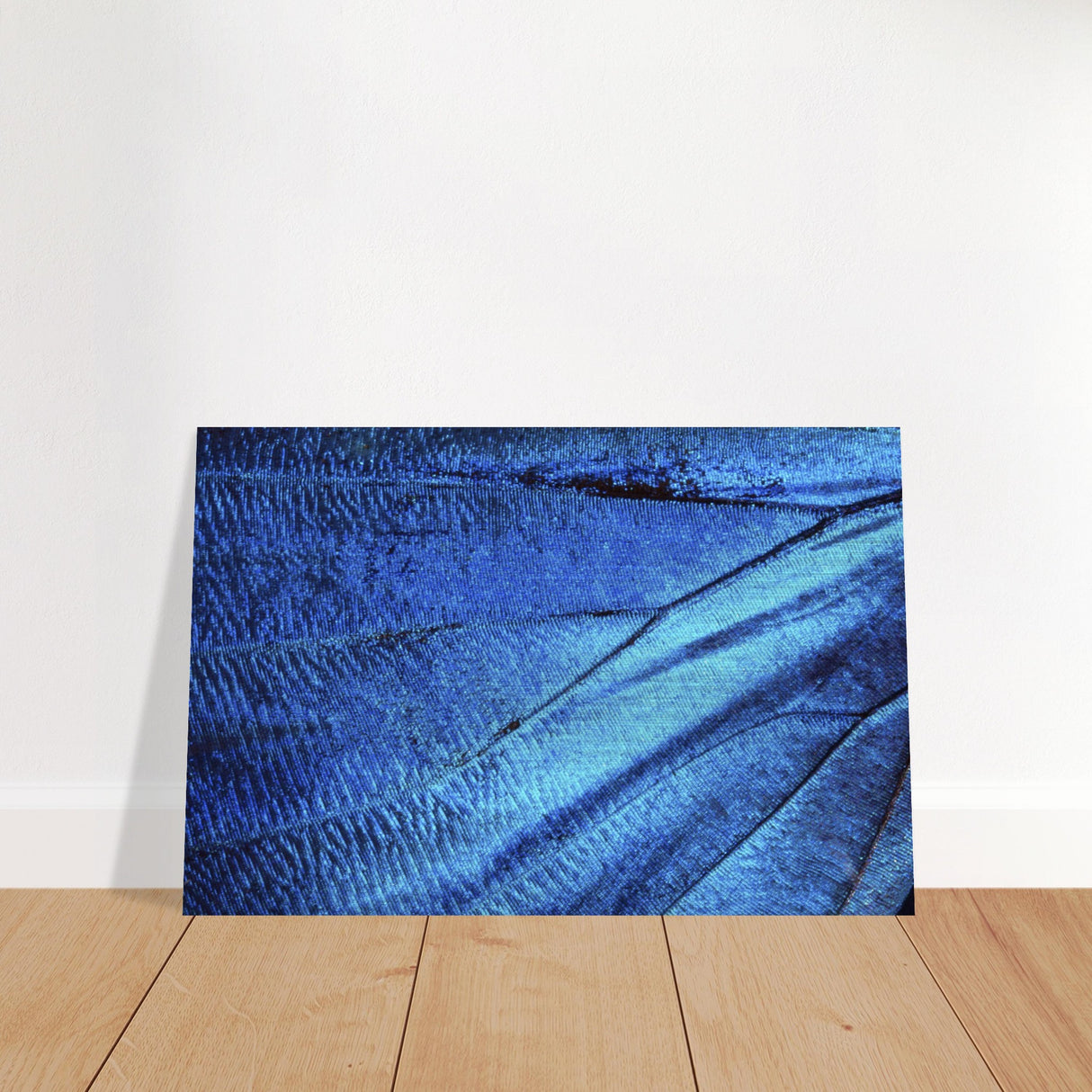  wall art blue butterfly wing