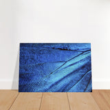  wall art blue butterfly wing
