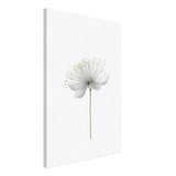 da vinci nature wall art floral 1