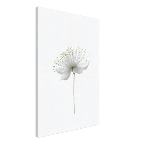 da vinci nature wall art floral 1