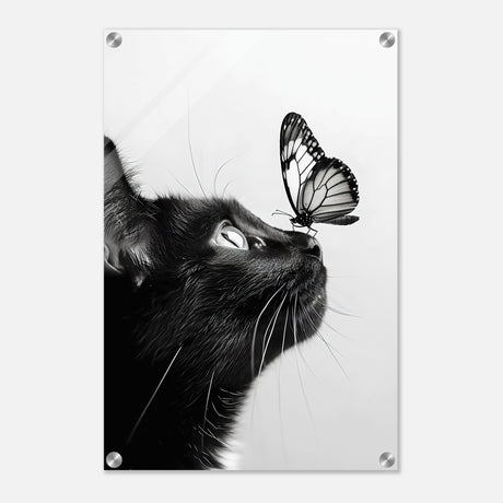  animal kingdom wall art cat butterfly