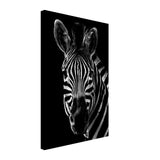  minimalist animal wall art zebra animal black and white prints