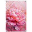 Blossom Radiance – Peony in Bloom | Modern Floral Art - 30x45 cm / 12x18″ - Acrylic Print - 
