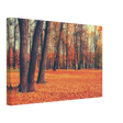 golden silence in autumn a tranquil forest escape wall art print20x30 cm / 8x12″Acrylic Print