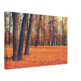 golden silence in autumn a tranquil forest escape wall art print20x30 cm / 8x12″Acrylic Print