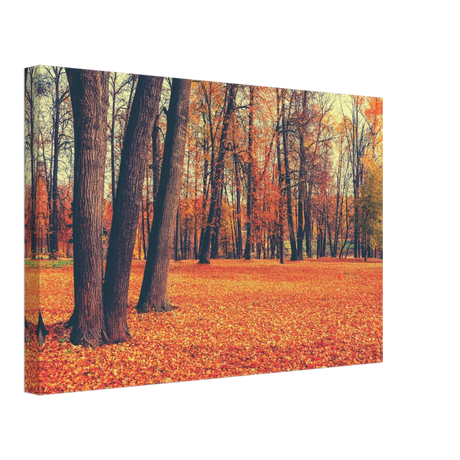 golden silence in autumn a tranquil forest escape wall art print20x30 cm / 8x12″Acrylic Print
