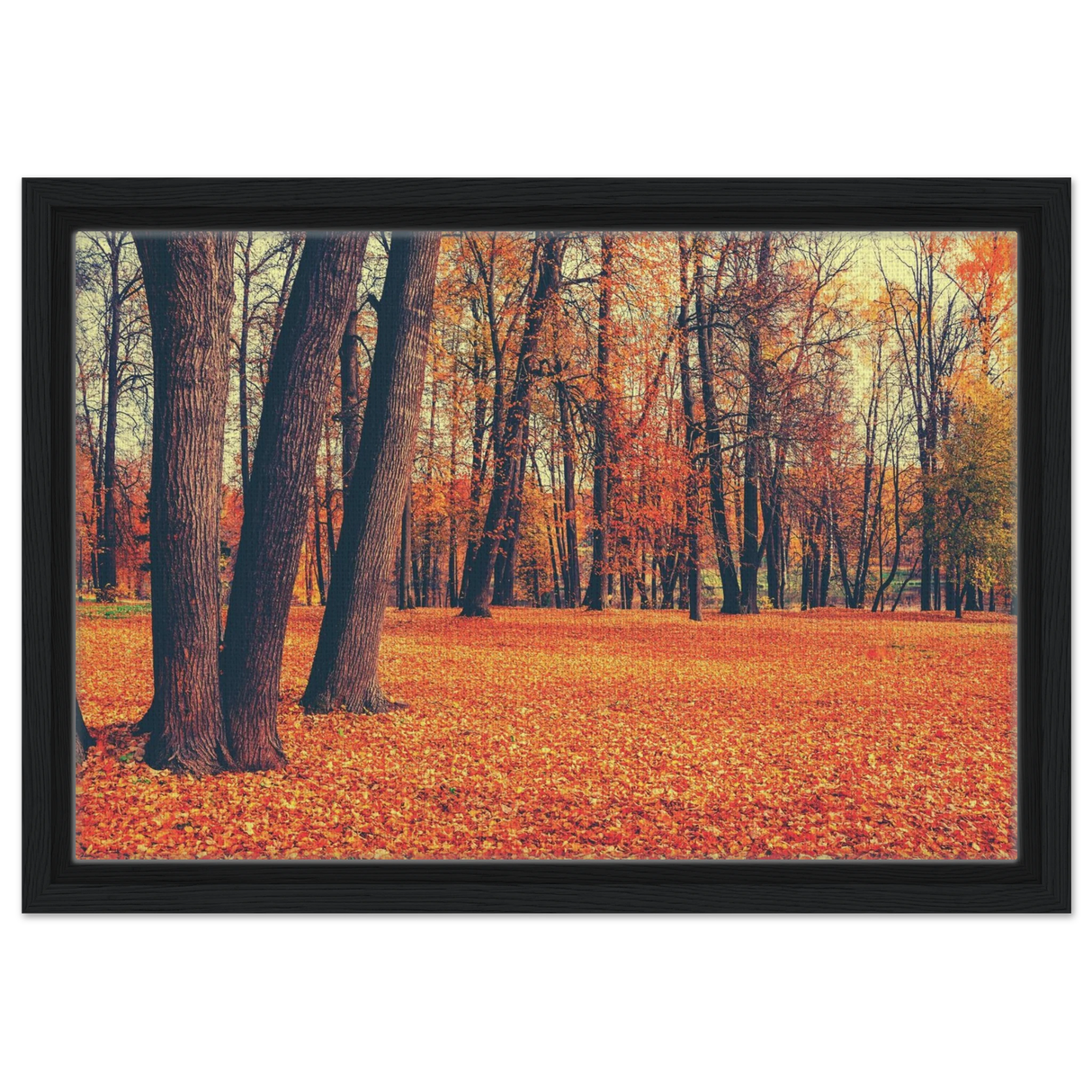 golden silence in autumn a tranquil forest escape wall art print40x60 cm / 16x24″Canvas