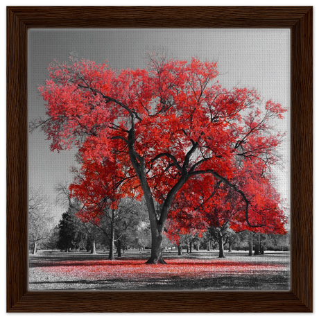 crimson crown monochrome autumn elegance wall art print40x40 cm / 16x16″Aluminum Print