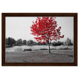 cdc50589-1a62-461d-9a32-f4d18f183cca