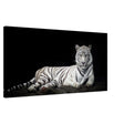 Copy of Da Vinci Animal Kingdom Wall art print collection | Tiger | Canvas print - Slim - 50x100 cm / 20x40″ - 