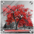 "Crimson Crown" – Monochrome Autumn Elegance | Wall Art Print - Acrylic Print - 20x20 cm / 8x8″ - 