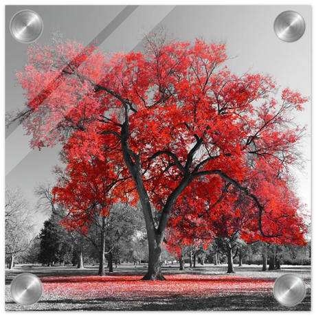 "Crimson Crown" – Monochrome Autumn Elegance | Wall Art Print - Acrylic Print - 20x20 cm / 8x8″ - 