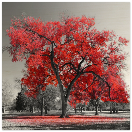 "Crimson Crown" – Monochrome Autumn Elegance | Wall Art Print - Wood Prints - 50x50 cm / 20x20″ - 