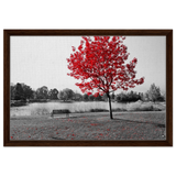 d363786b-ed4e-4ff5-a334-ec9d65d3bf3b