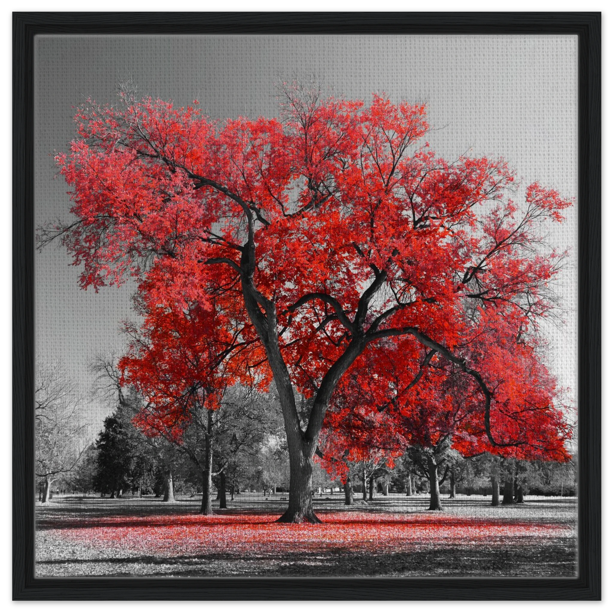 crimson crown monochrome autumn elegance wall art print60x60 cm / 24x24″Aluminum Print