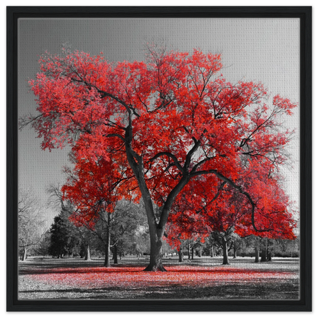 crimson crown monochrome autumn elegance wall art print60x60 cm / 24x24″Aluminum Print