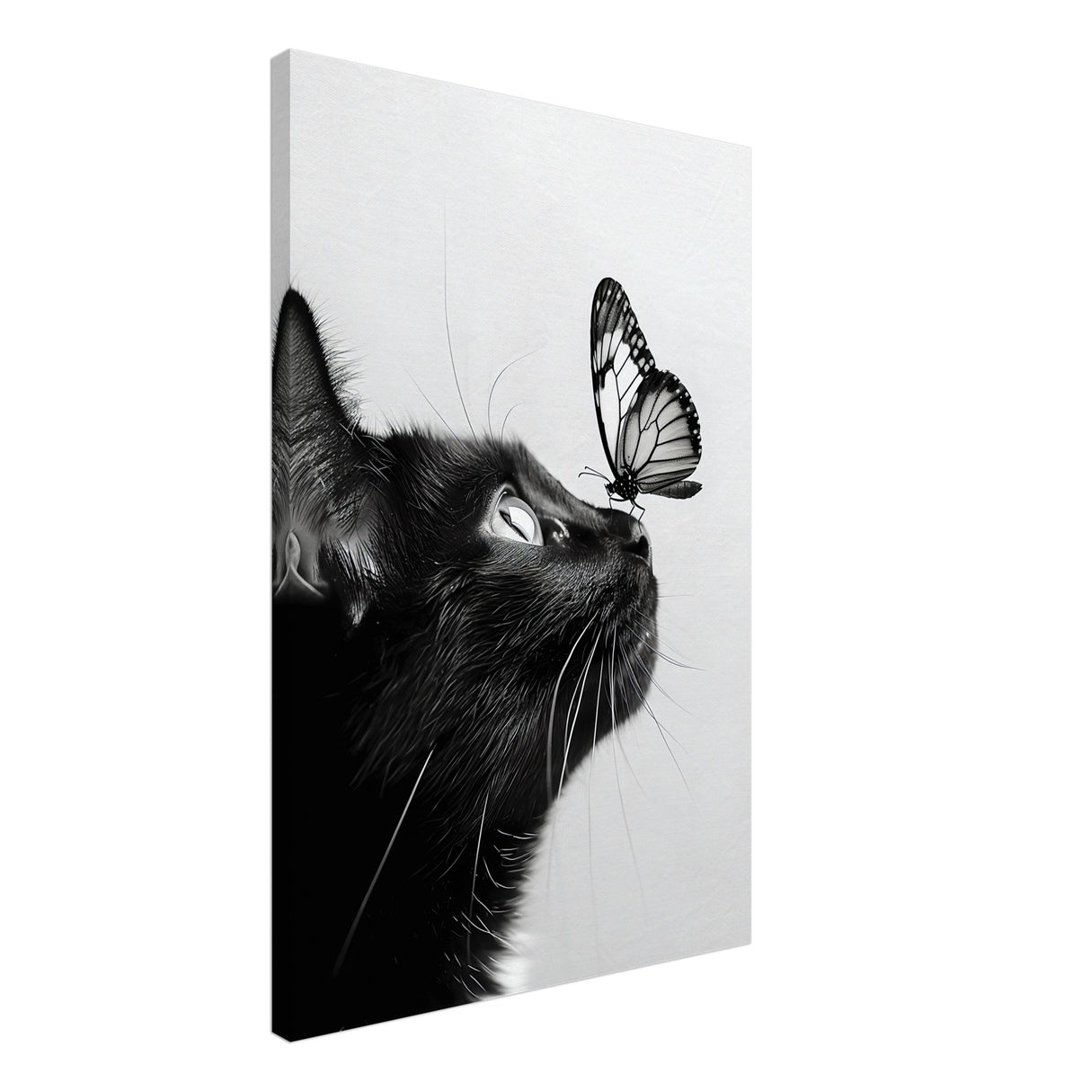  animal kingdom wall art cat butterfly