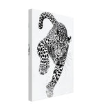 nature wall art wildlife leopard