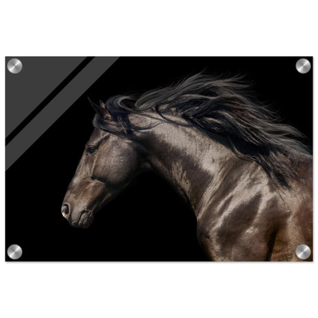 Da Vinci Animal Kingdom Art Wall art print | Brown horse - Acrylic Print - 30x45 cm / 12x18″ - 