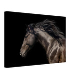 Da Vinci Animal Kingdom Art Wall art print | Brown horse - Canvas - 30x45 cm / 12x18″ - 