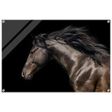 Da Vinci Animal Kingdom Art Wall art print | Brown horse - Acrylic Print - 60x90 cm / 24x36″ - 