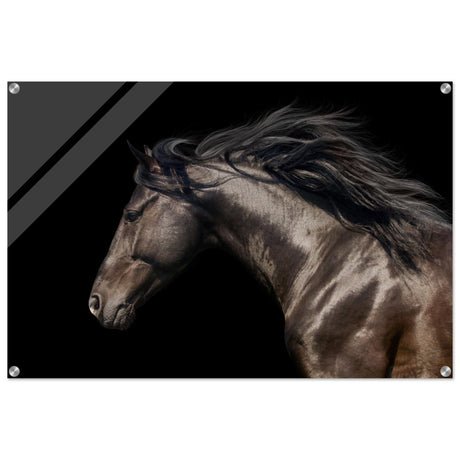Da Vinci Animal Kingdom Art Wall art print | Brown horse - Acrylic Print - 60x90 cm / 24x36″ - 