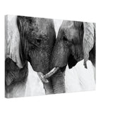 Da Vinci Animal Kingdom Art Wall art print | Elephant Love - Canvas - 40x60 cm / 16x24″ - 