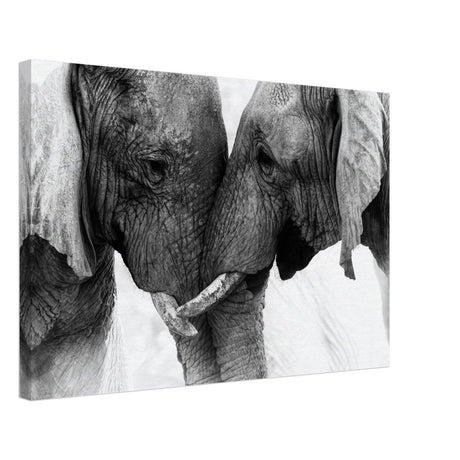Da Vinci Animal Kingdom Art Wall art print | Elephant Love - Canvas - 40x60 cm / 16x24″ - 